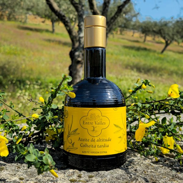 GARRAFA AMARELA (500ml) - Image 2