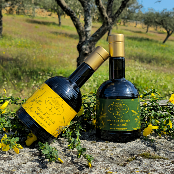 GARRAFA VERDE (500ml) - Image 3