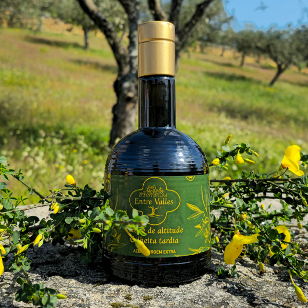 GARRAFA VERDE (500ml) - Image 2